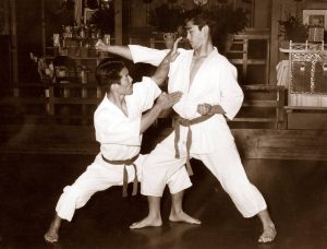 What is karate - Shoshinkai